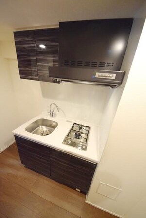 ハーモニーレジデンス秋葉原の物件内観写真